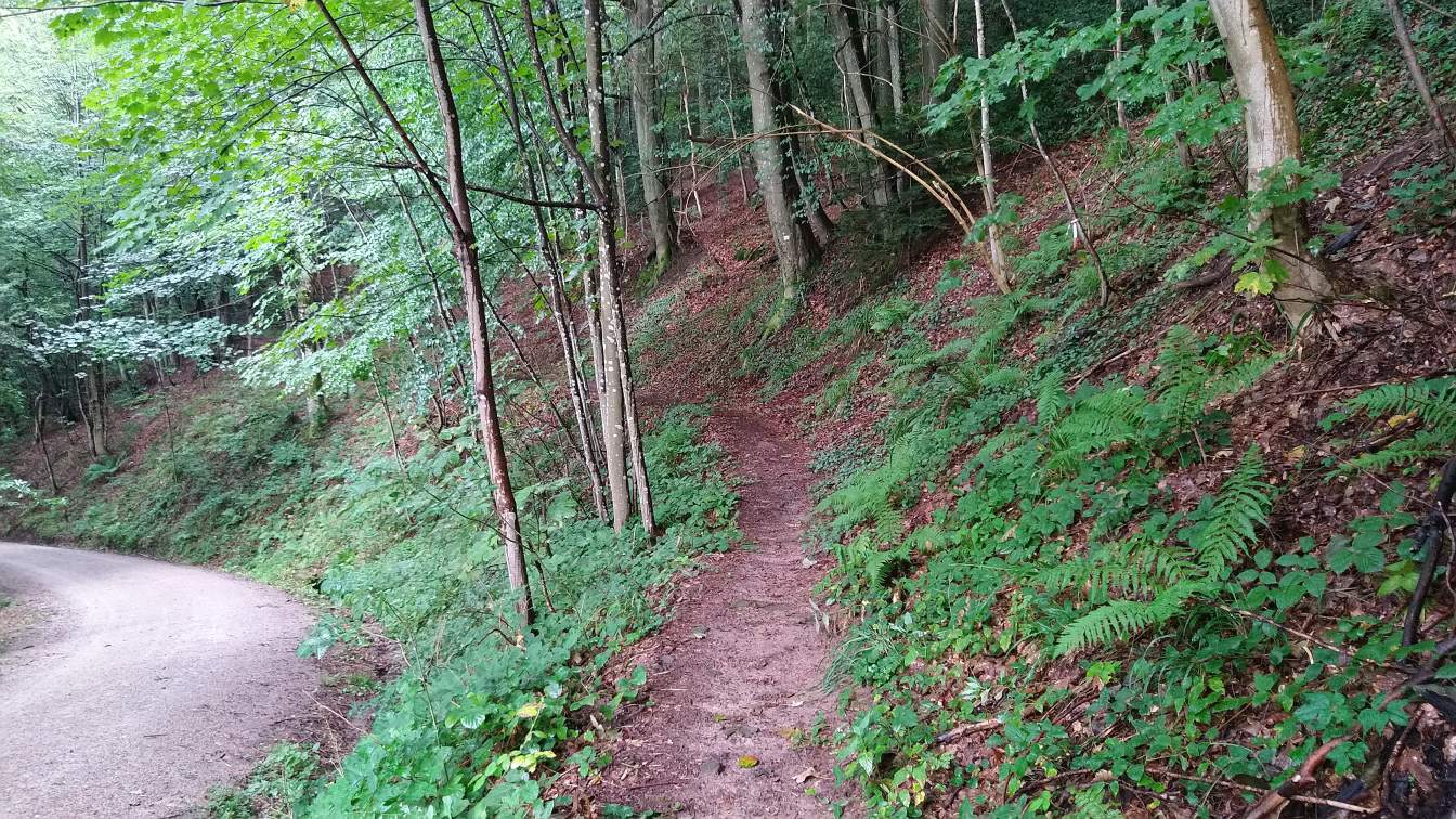 Bildtitel: Scherenschleiferbrunnenweg