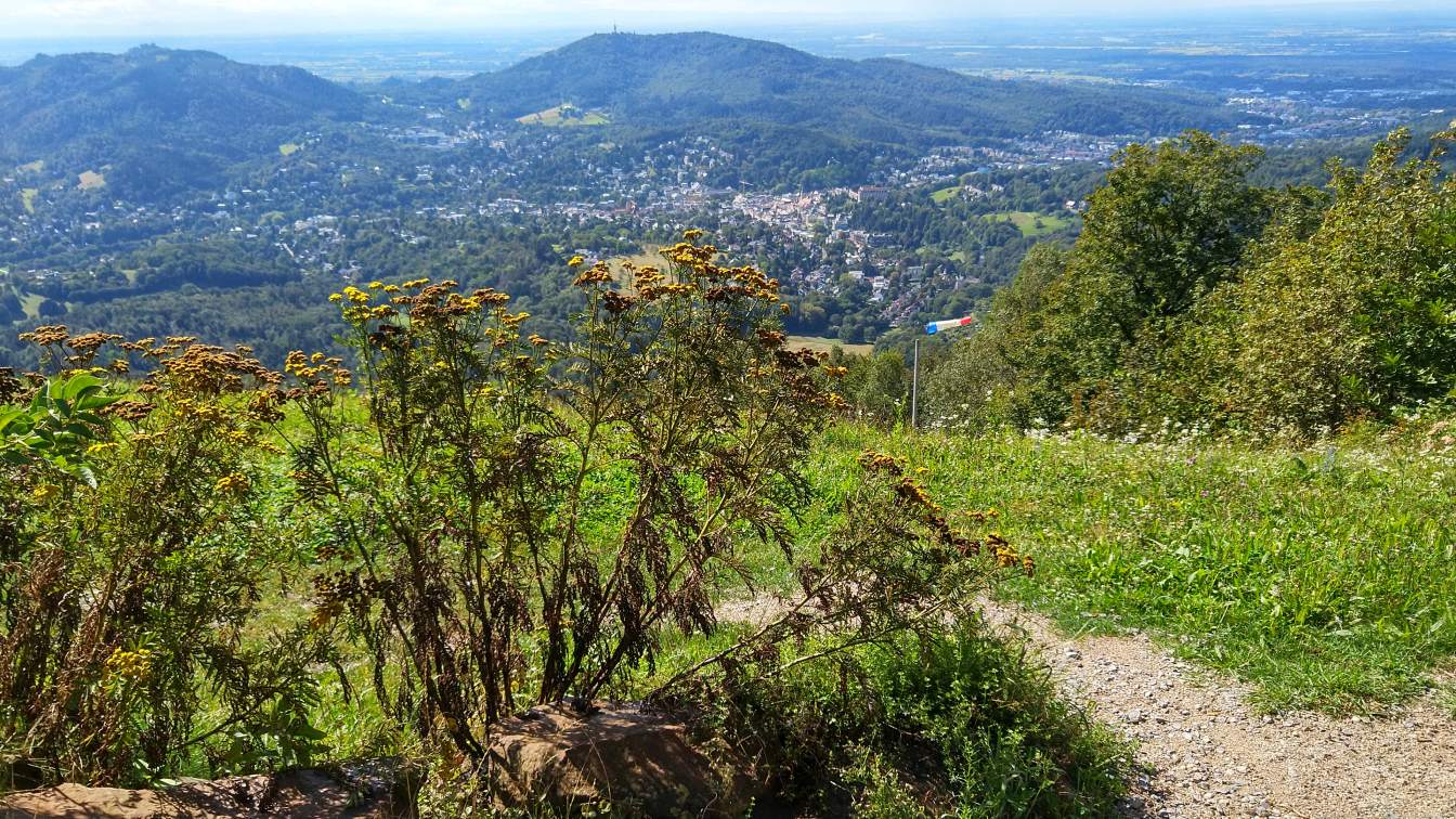 Bildtitel: Aussicht auf Baden-Baden