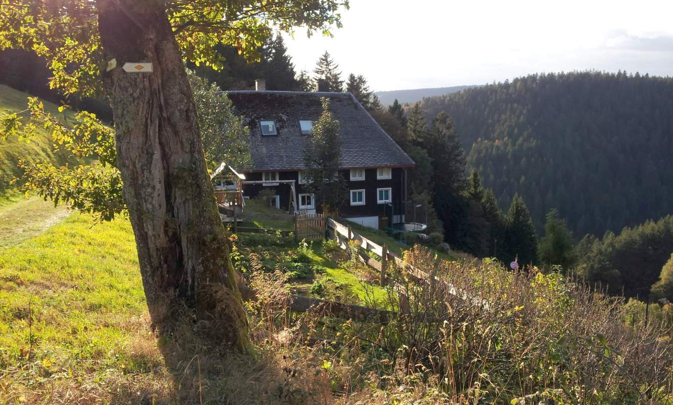 Bildtitel: Brendhof im Abendlicht mit Blick ins Tal und Schwarzwaldlandschaft