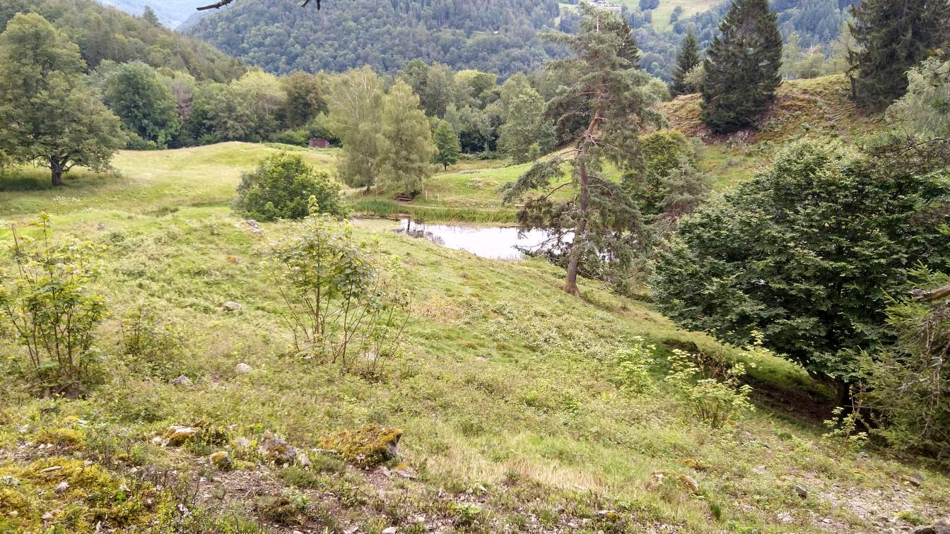 Bildtitel: Letzbergweiher