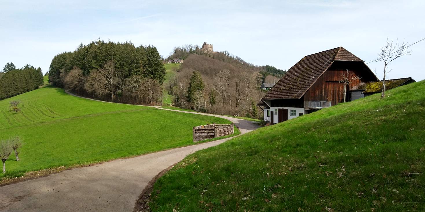 Bildtitel: Rückblick