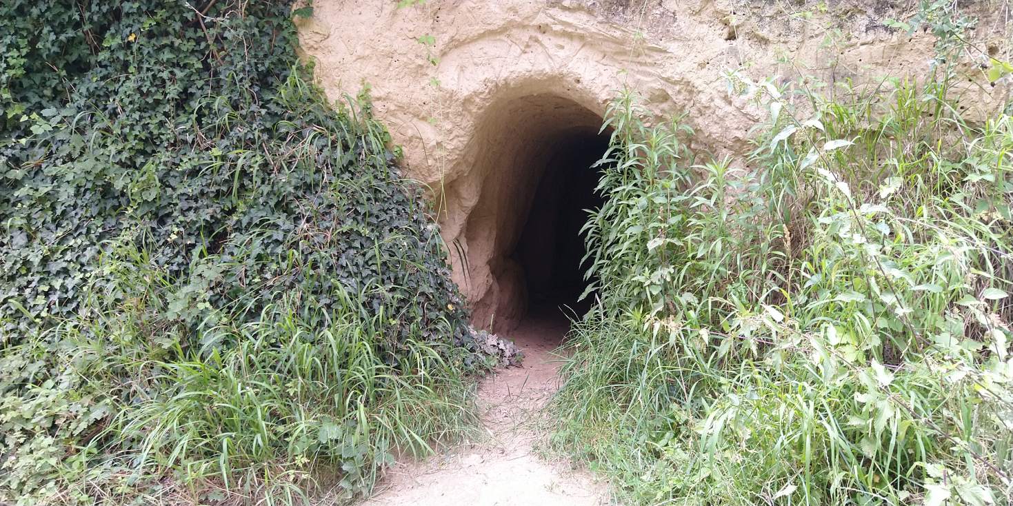 Bildtitel: Lösshöhle