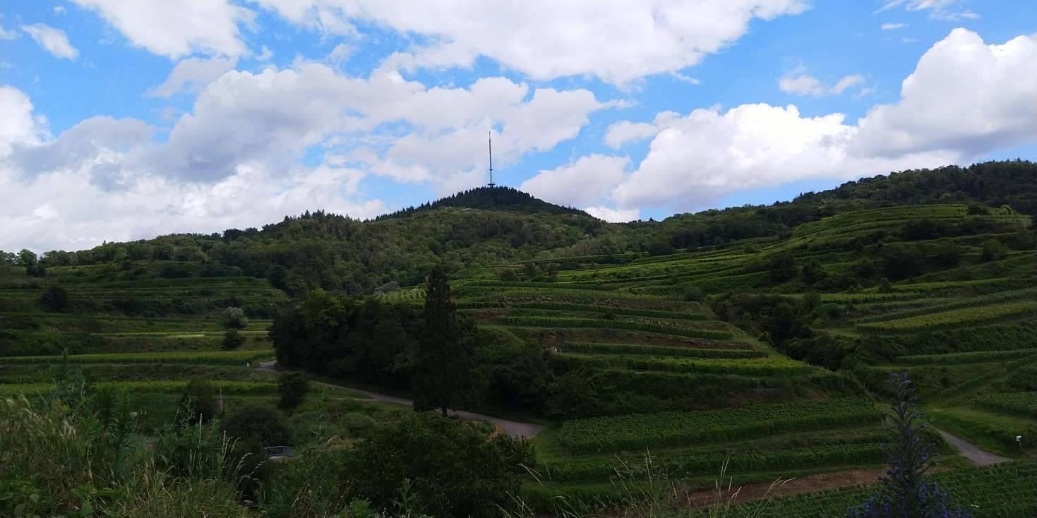 Bildtitel: Totenkopf