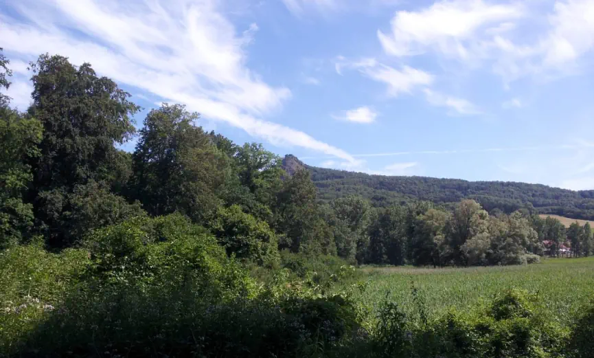 Bildtitel: Wald und Wiesenlandschaft