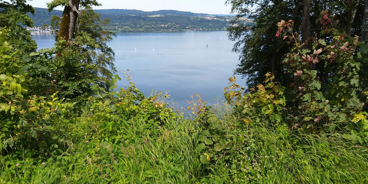 Bildtitel: Bodenseepanorama