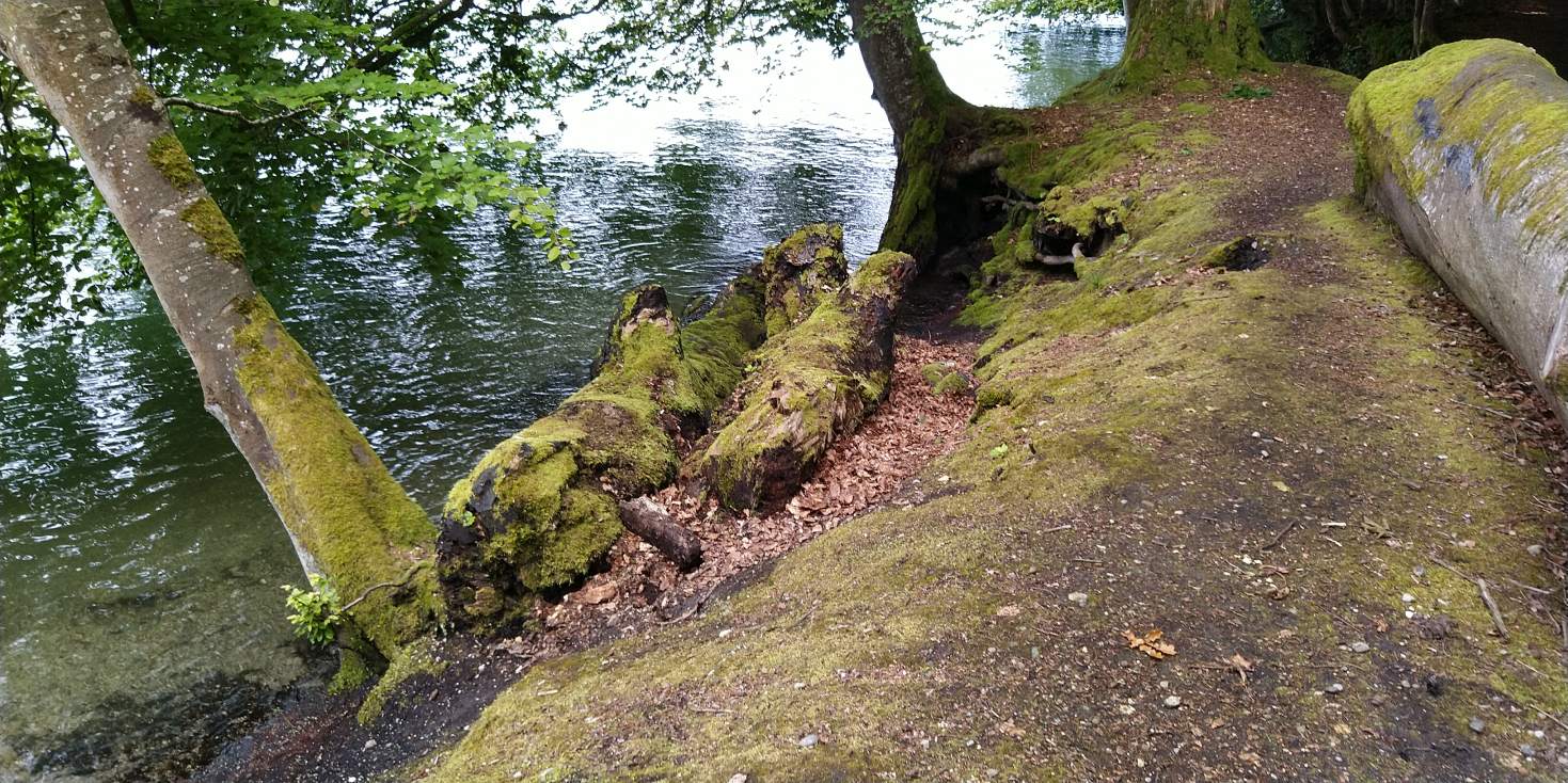 Bildtitel: am Bodenseeufer