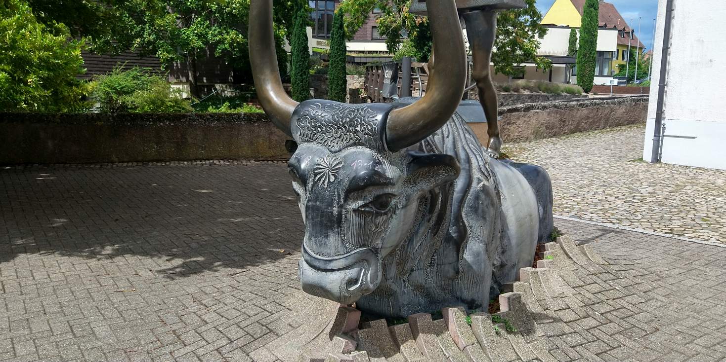 Bildtitel: Europe reaches for the stars