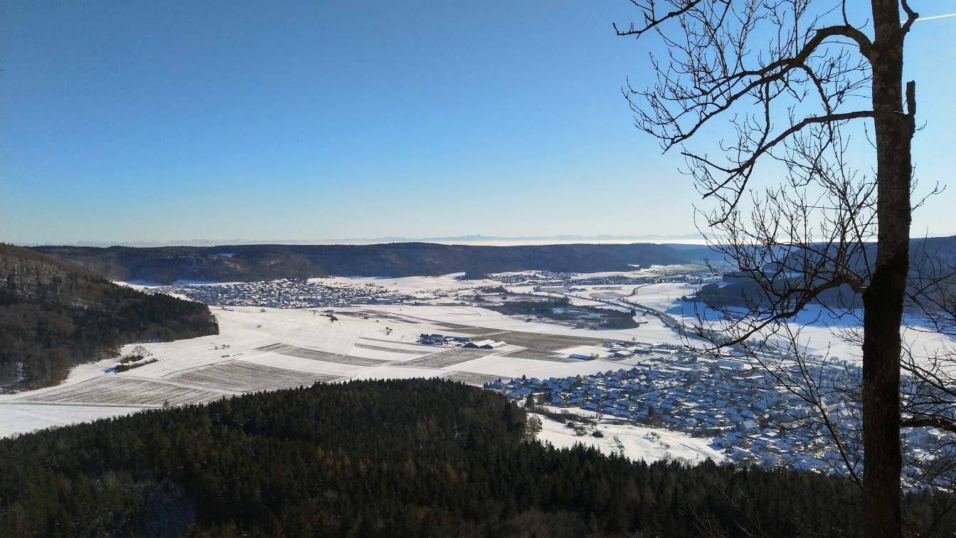 Bildtitel: auf den Weißen