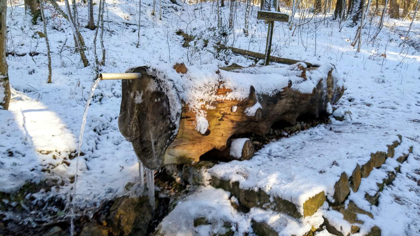 Bildtitel: Katzenbrunnen