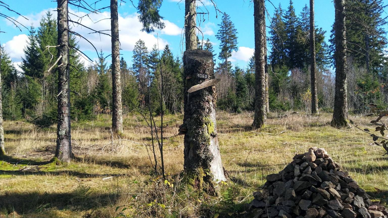 Bildtitel: now it's all downhill