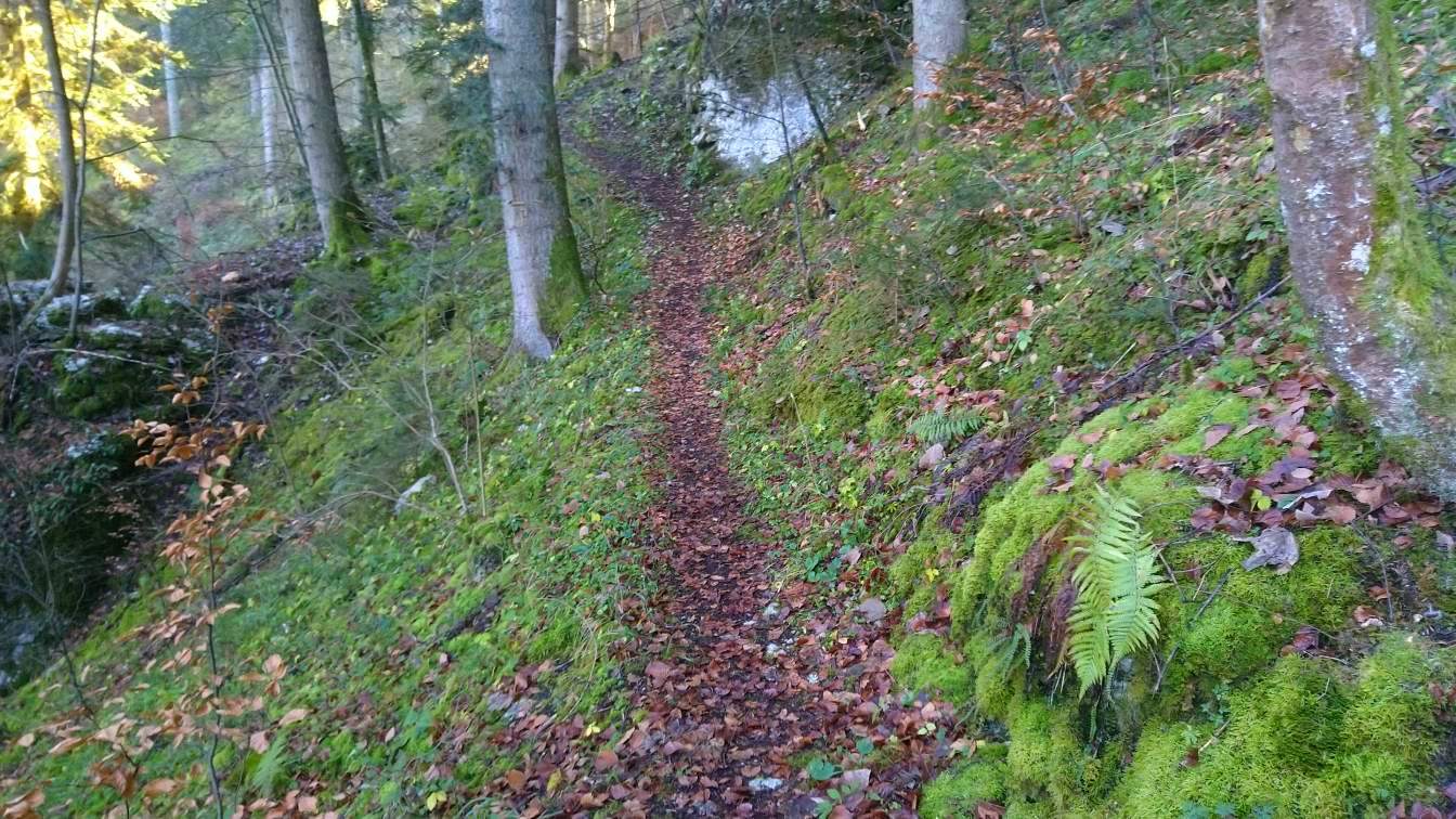 Bildtitel: schon fast oben