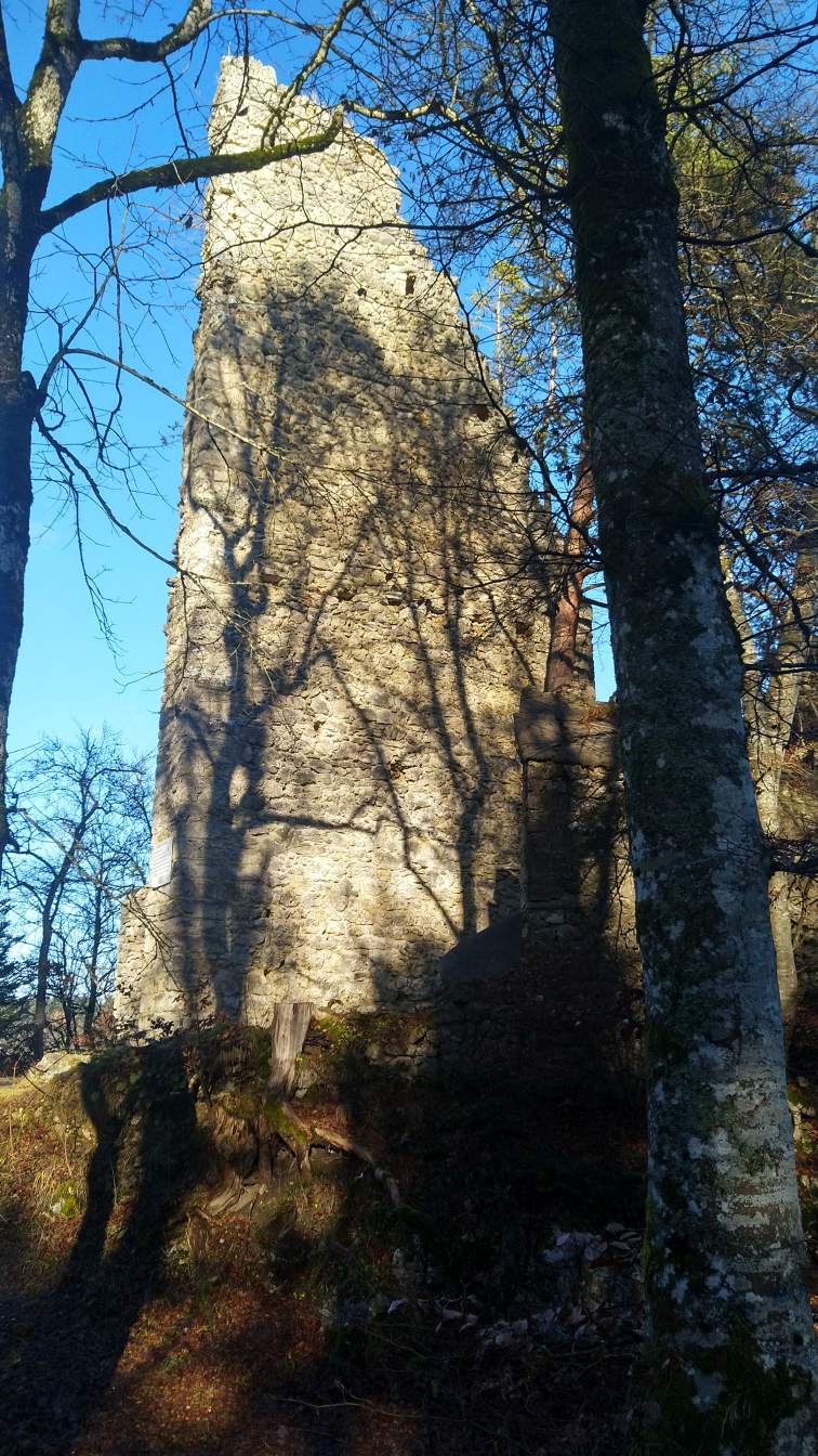 Bildtitel: Ruine Granegg Südseite