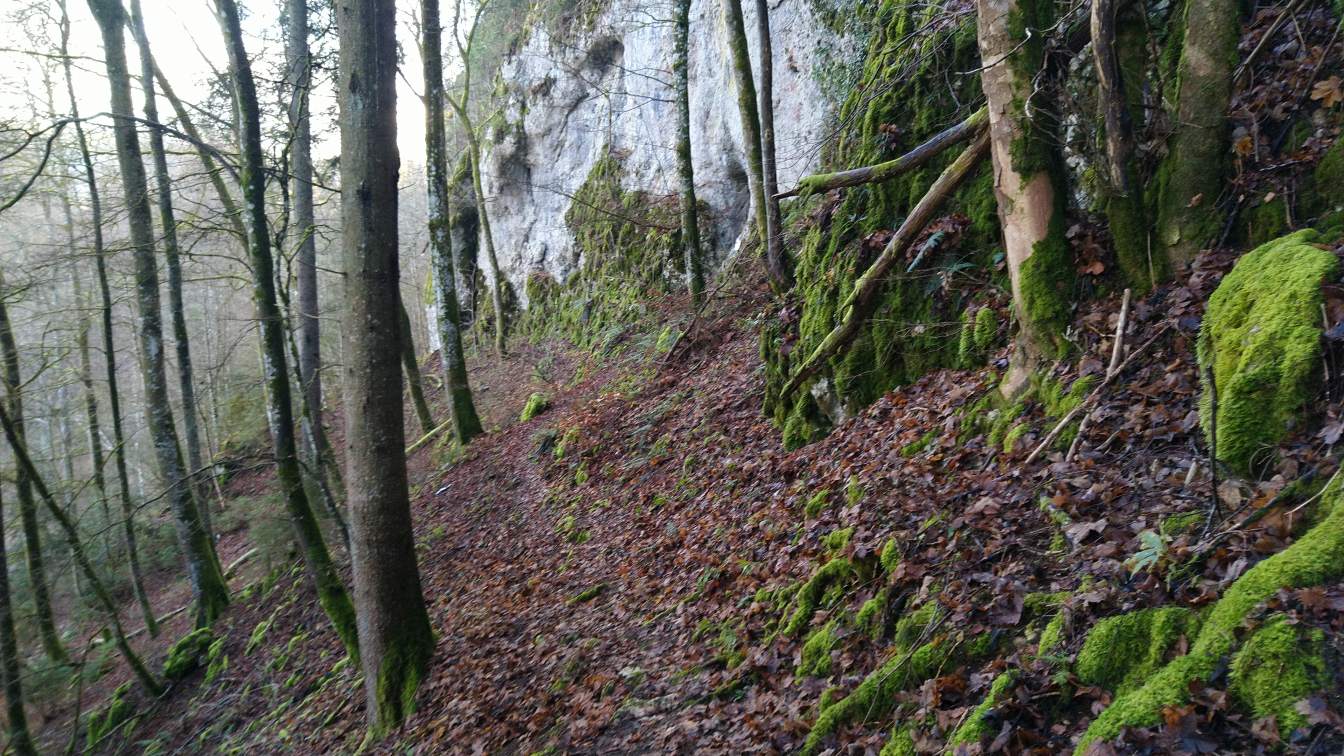 Bildtitel: schmaler Pfad zur Beinsteinhöhle