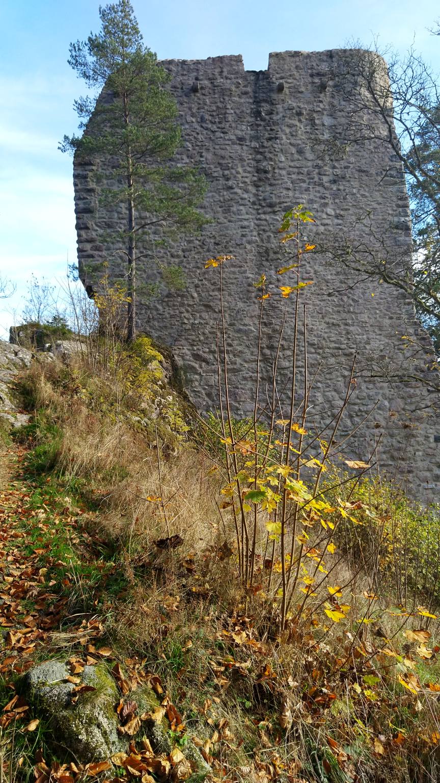 Bildtitel: Turm und Schildmauer der Burgruine Neu-Fürstenberg