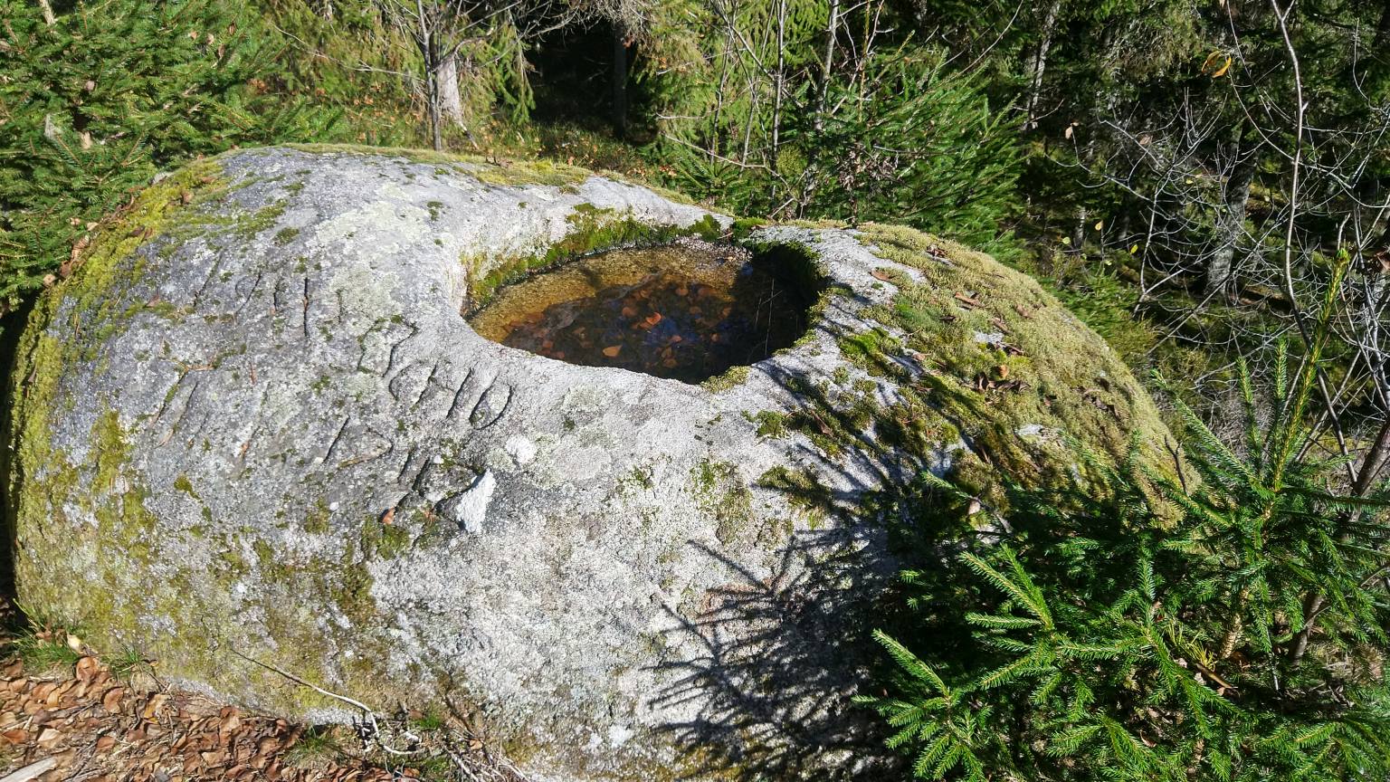 Bildtitel: Eingetiefte Mulde den Weiher des Kuckucks darstellend