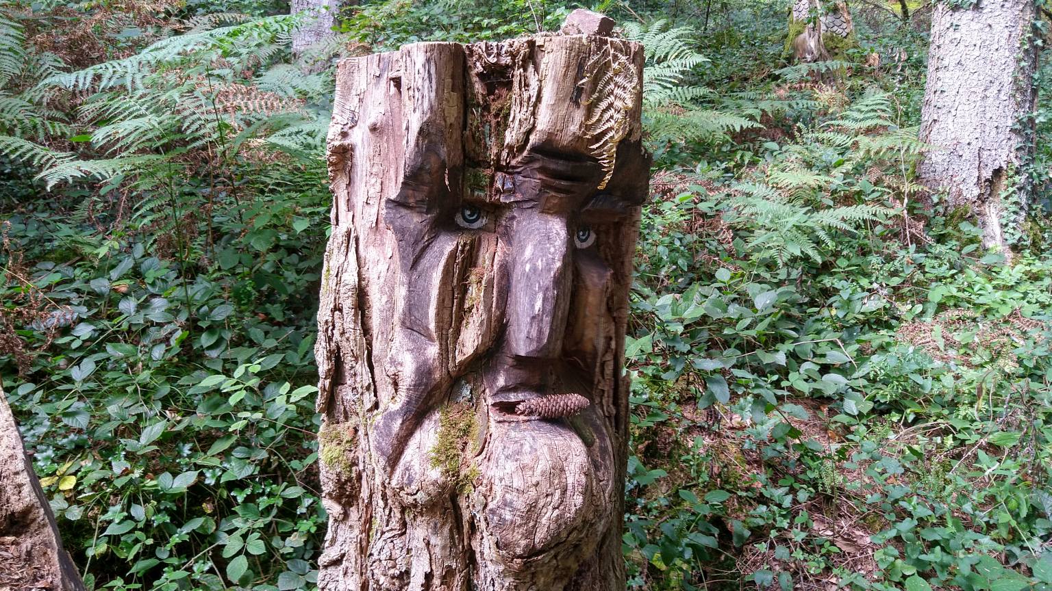 Bildtitel: Rübezahl