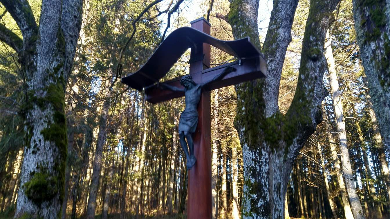 Bildtitel: Waldkreuz