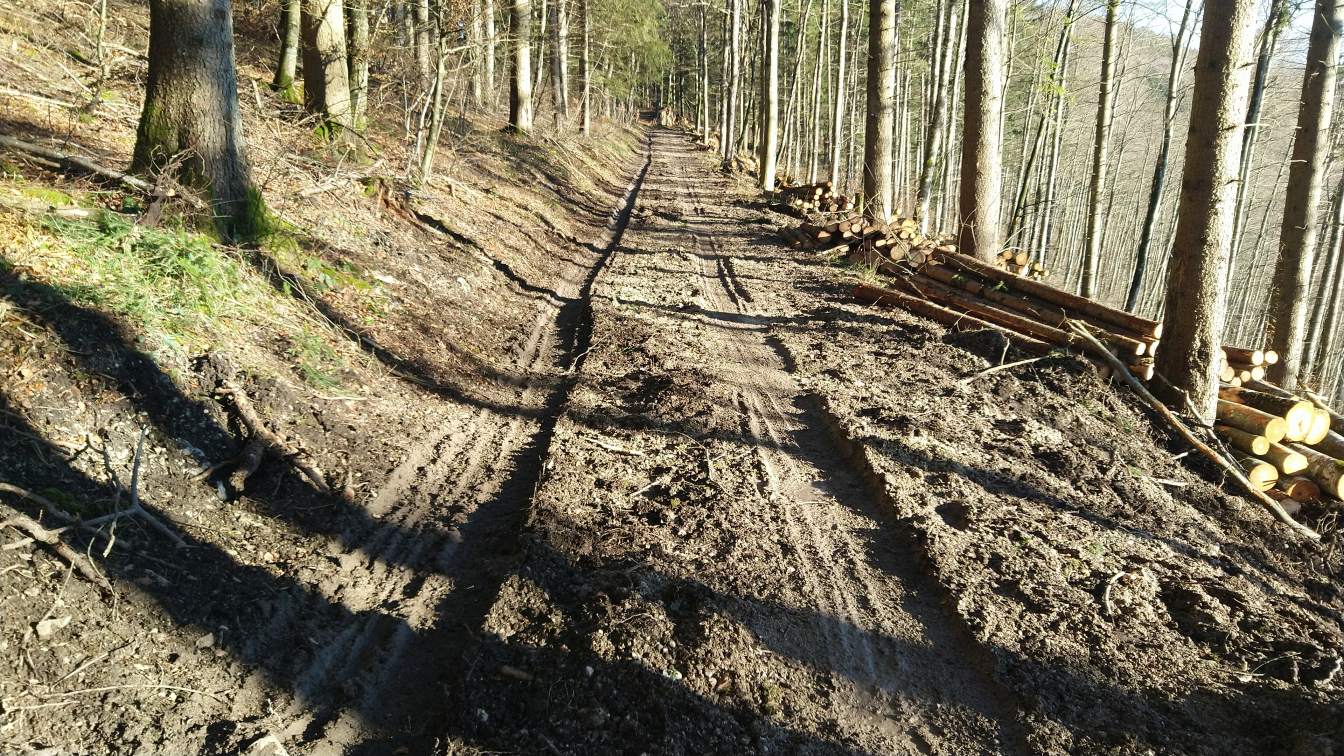 Bildtitel: schlammiger Weg