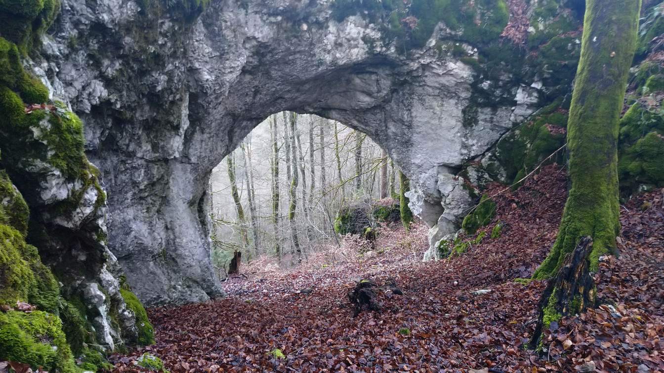 Bildtitel: Egesheimer Heidentor