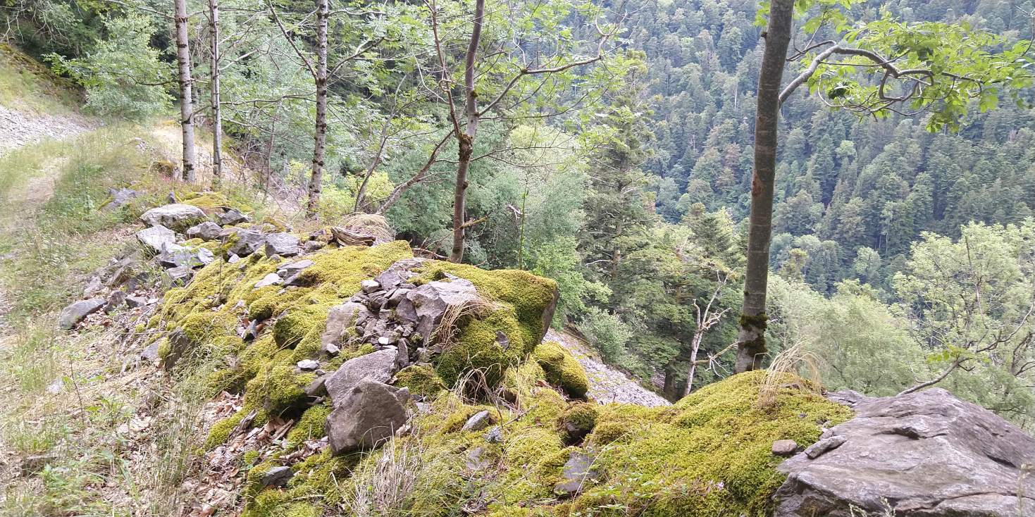 Bildtitel: Höllentalblick