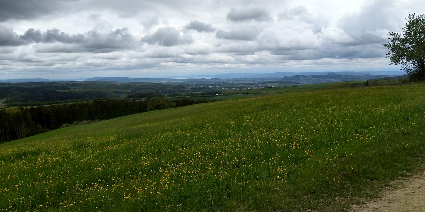 Bildtitel: Hegauberge und Bodensee
