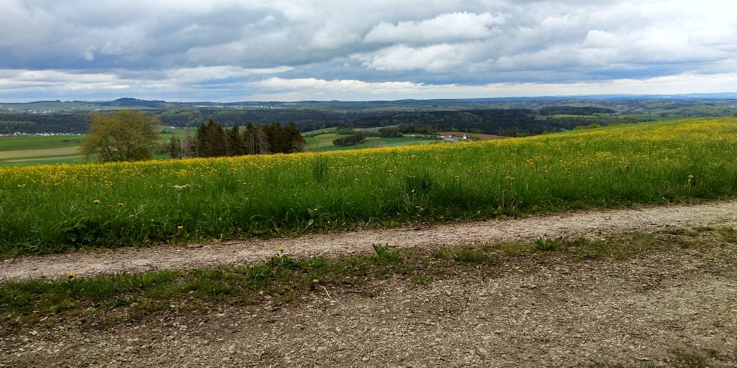 Bildtitel: links von der Autobahn