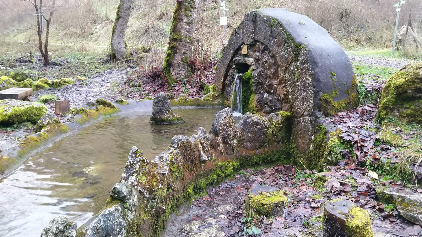 Bildtitel: Grauentalquelle