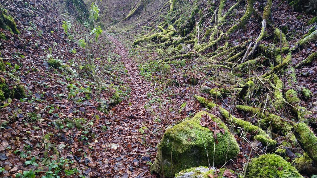 Bildtitel: schmaler Canyon im Hintelestal