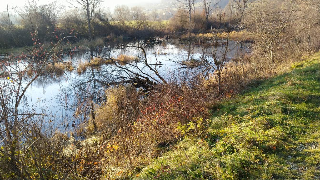 Bildtitel: Wulfbachauen