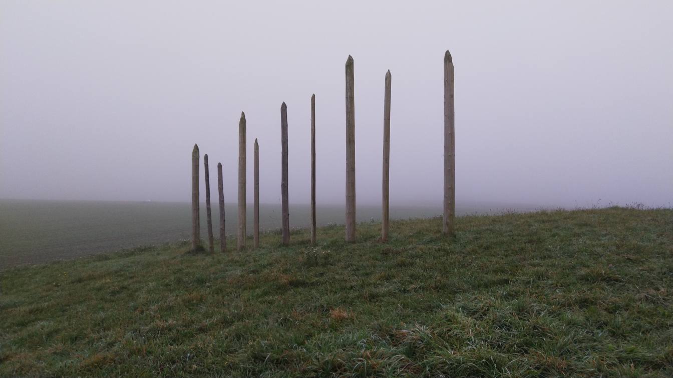 Bildtitel: Grabhügel auf dem Magdalenenberg mit Holzstelen als Markierung