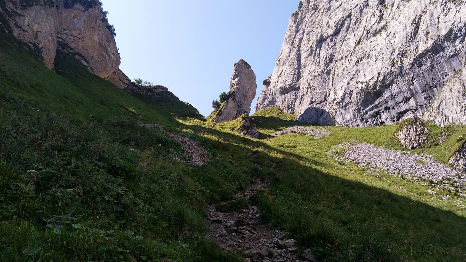 Bildtitel: Bogartenmannli