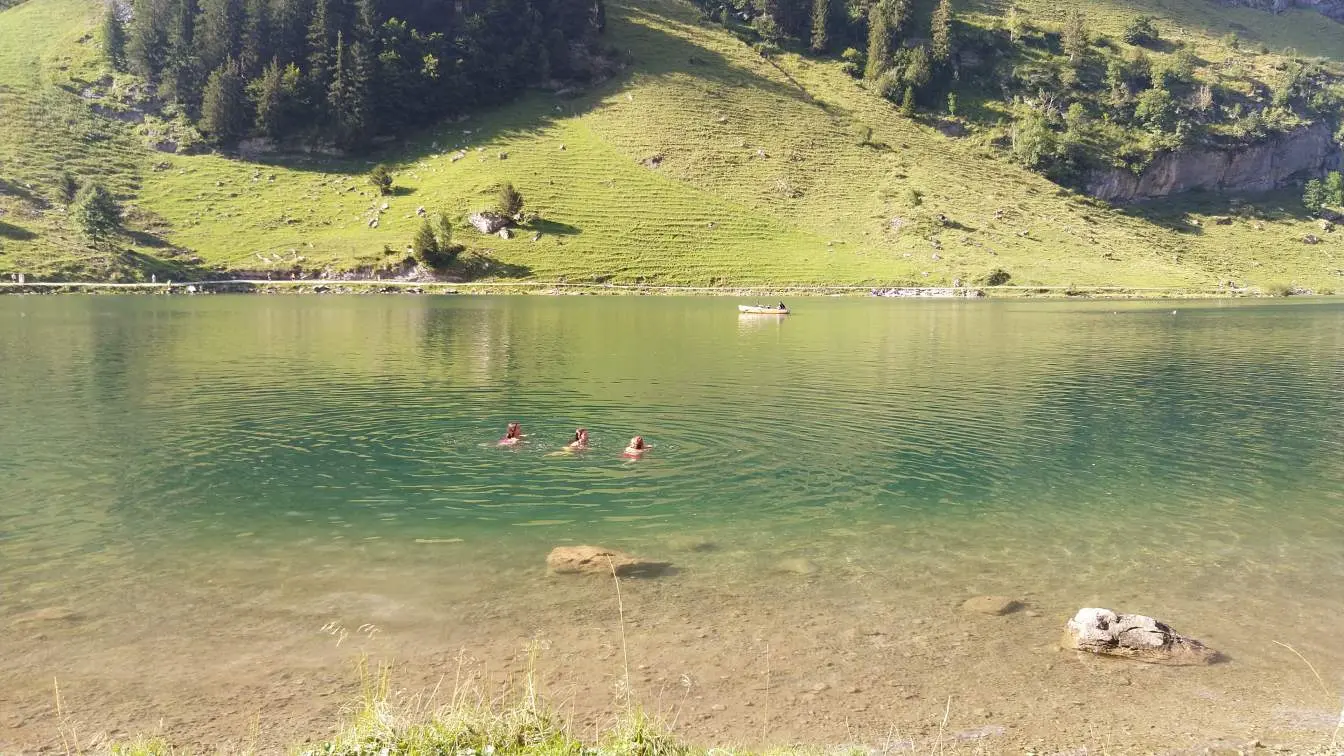 Bildtitel: schwimmen im Seealpsee