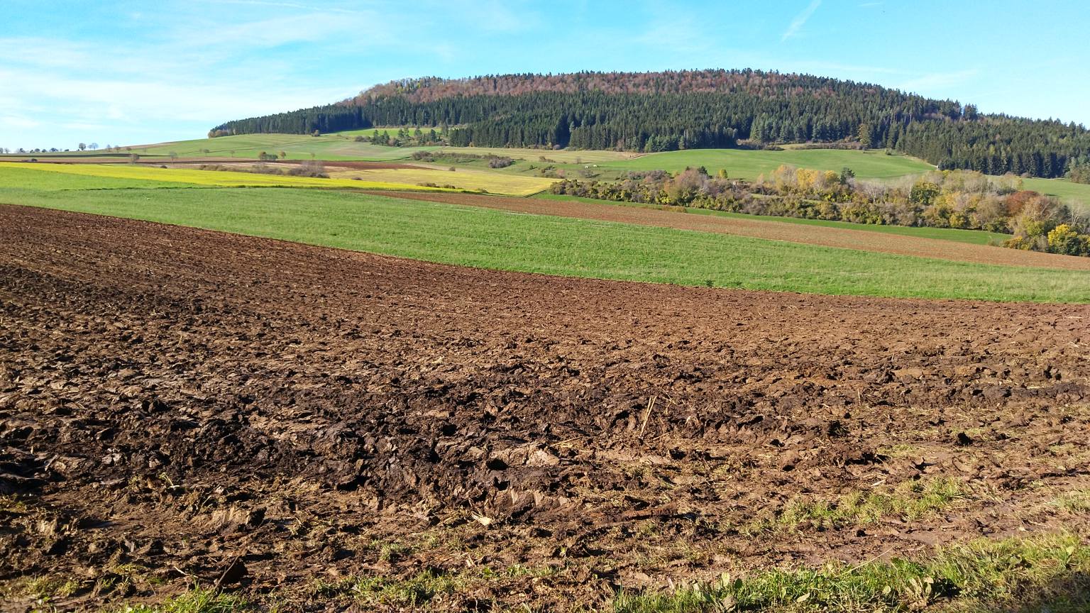 Bildtitel: Lupfen Südseite