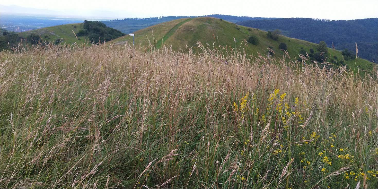 Bildtitel: oben angekommen