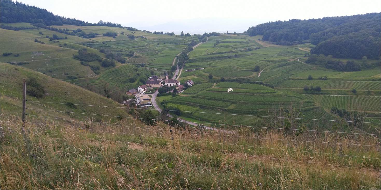 Bildtitel: Altvogtsburg