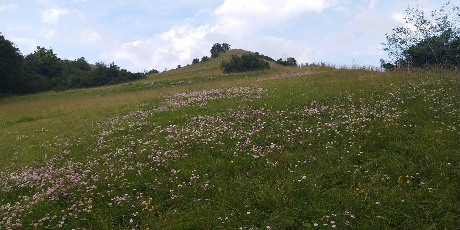 Bildtitel: der Badberg