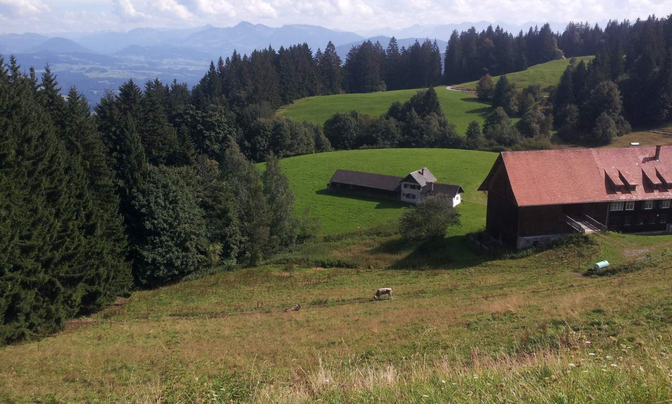 Bildtitel: Atemberaubendes Alpenpanorama - im Vordergrund das Gasthaus Pfänderdohle
