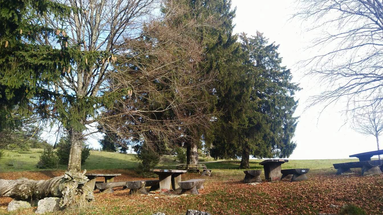 Bildtitel: Wanderrastplatz