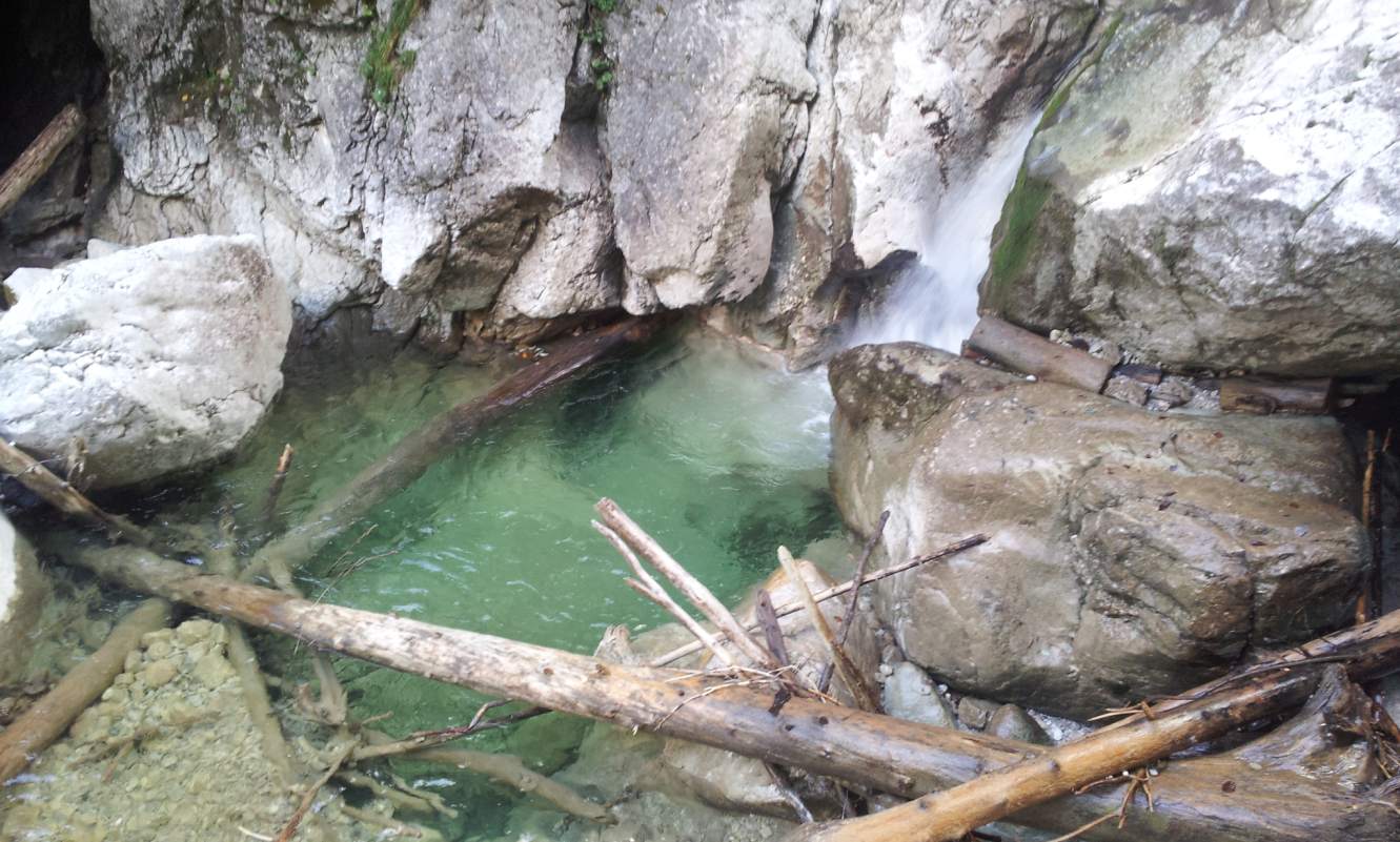 Bildtitel: Treibholz