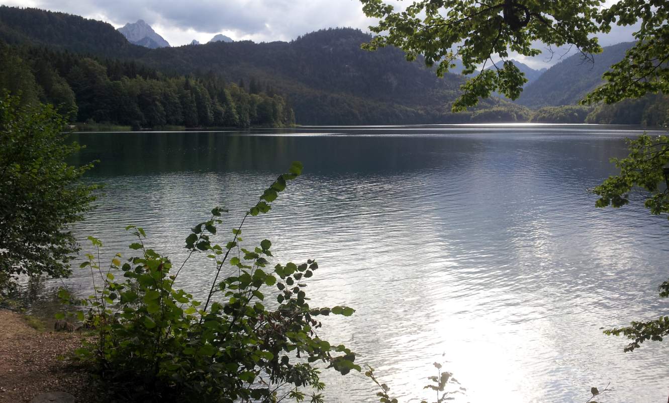 Bildtitel: Alpseeufer