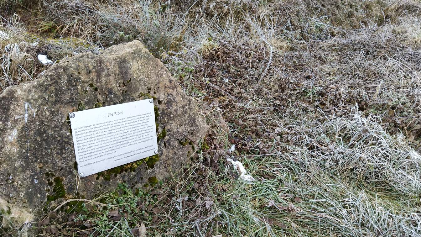 Bildtitel: Biberquelle