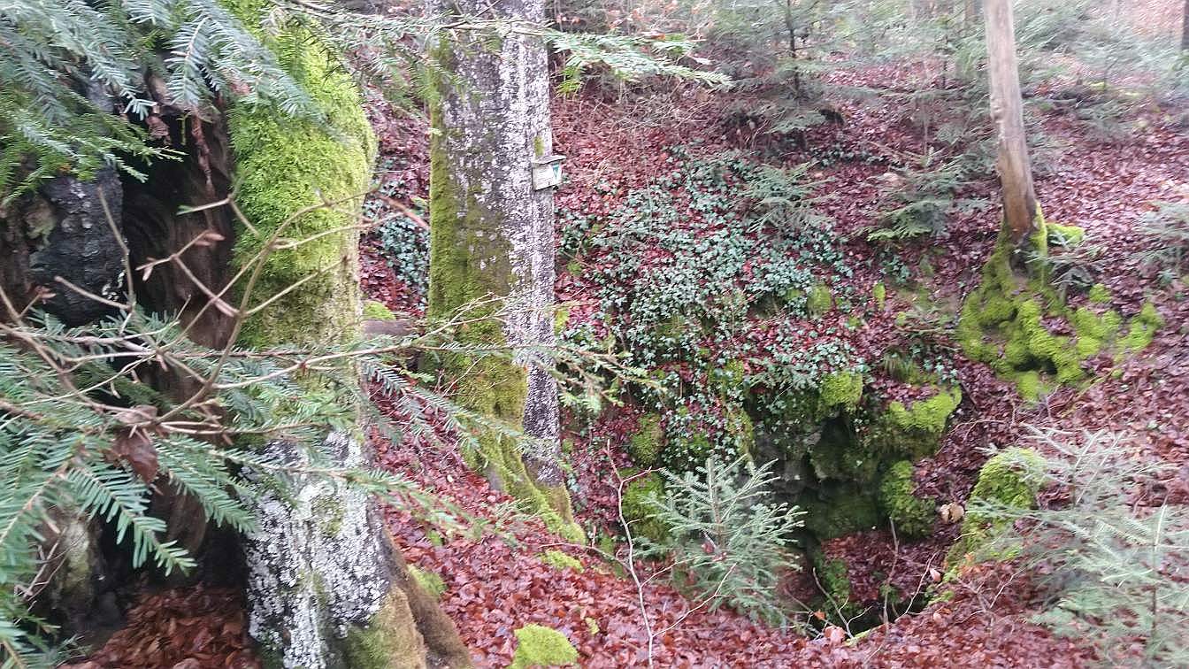 Bildtitel: Naturdenkmal Eulenloch