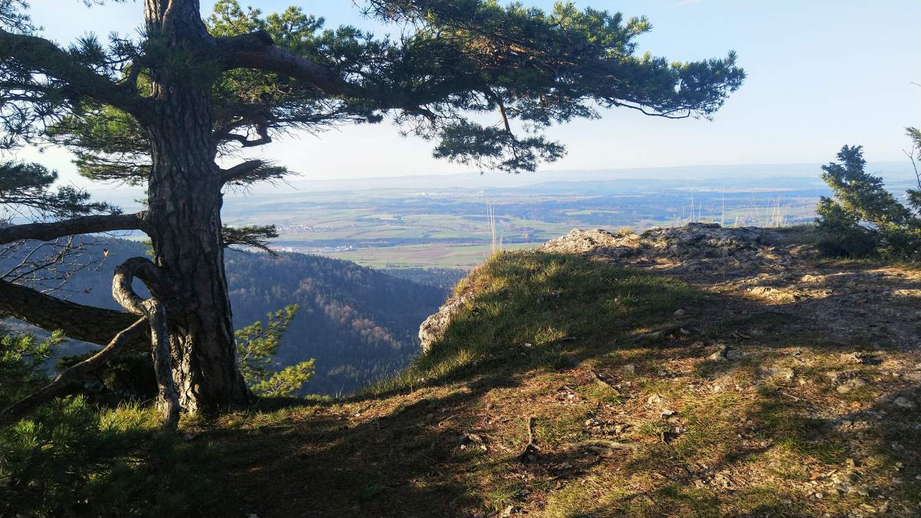 Bildtitel: Hoher Fels