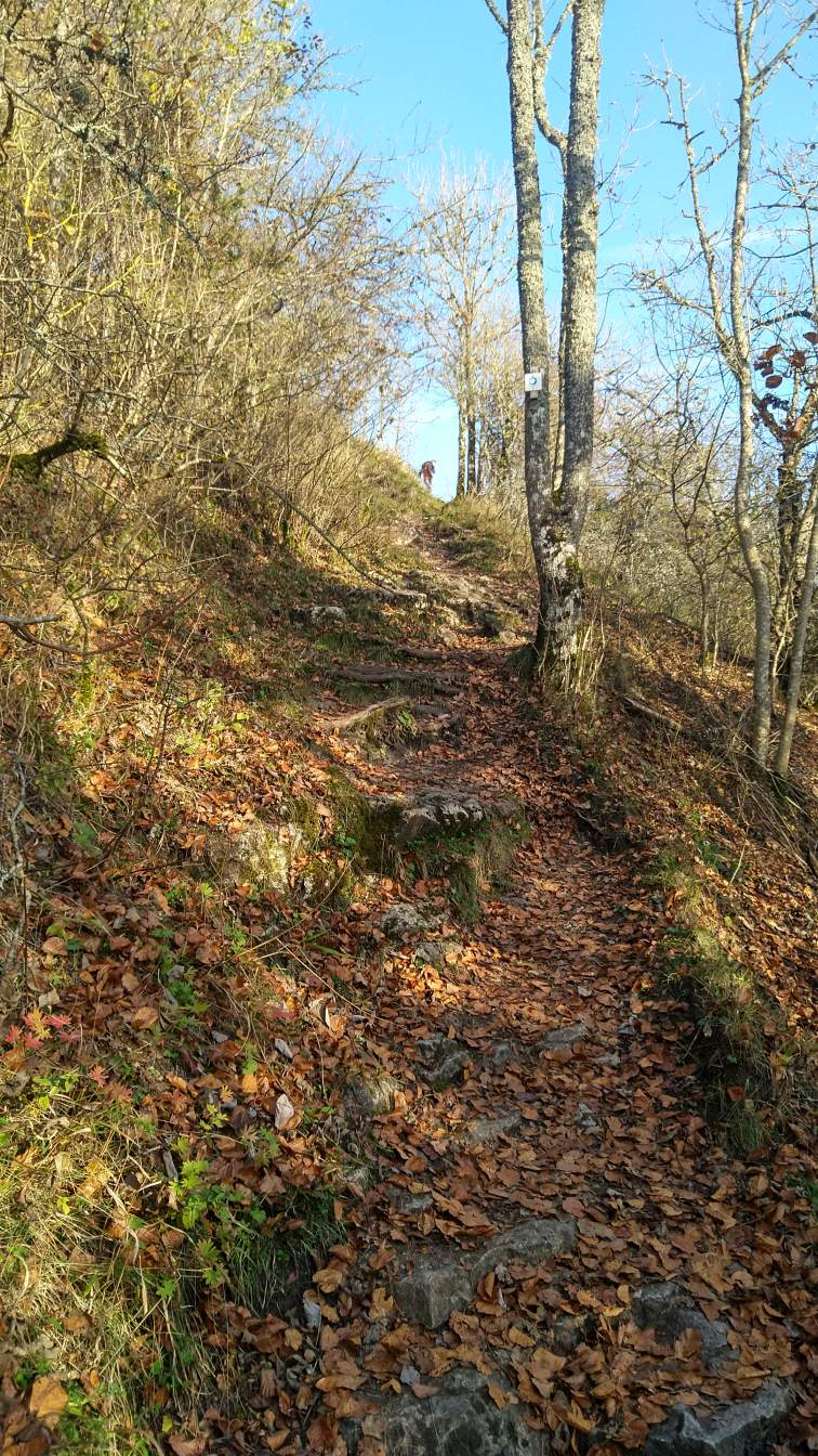 Bildtitel: Lochensteinaufstieg - nur für geübte Wanderer