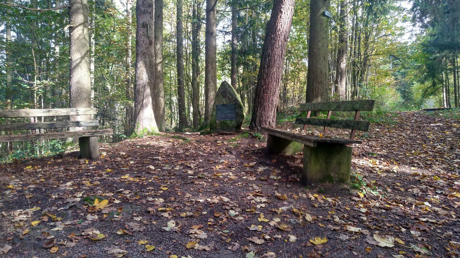Bildtitel: Rastplatz mit Bänken und Gedenkstein am Türnleberg