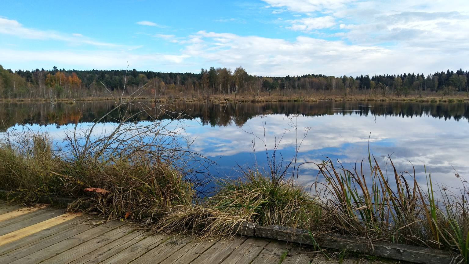 Bildtitel: Weitblick auf den Moorsee mit umgebender Moorlandschaft