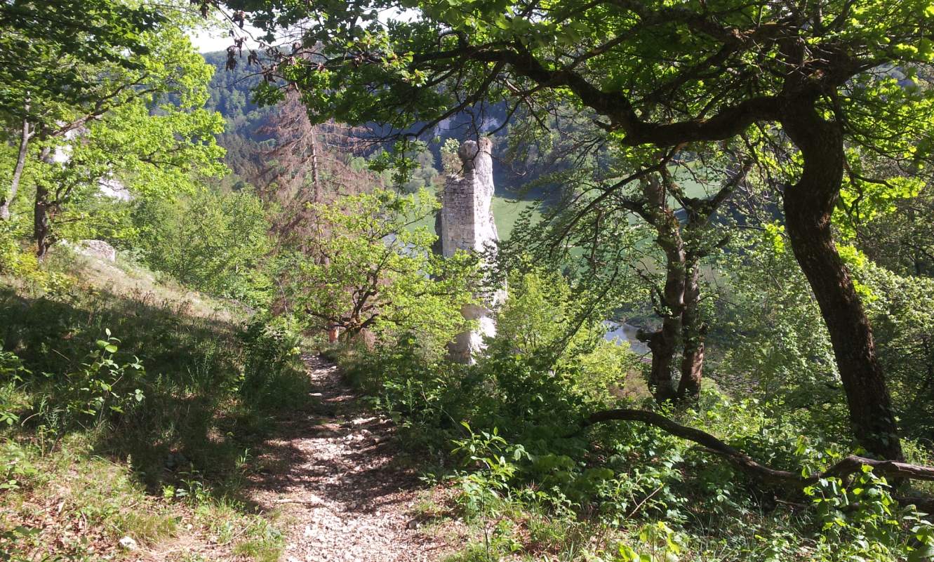 Bildtitel: Aussichtspunkt