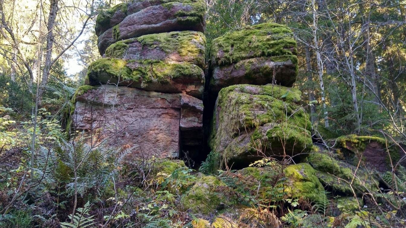 Bildtitel: Vögelefelsen