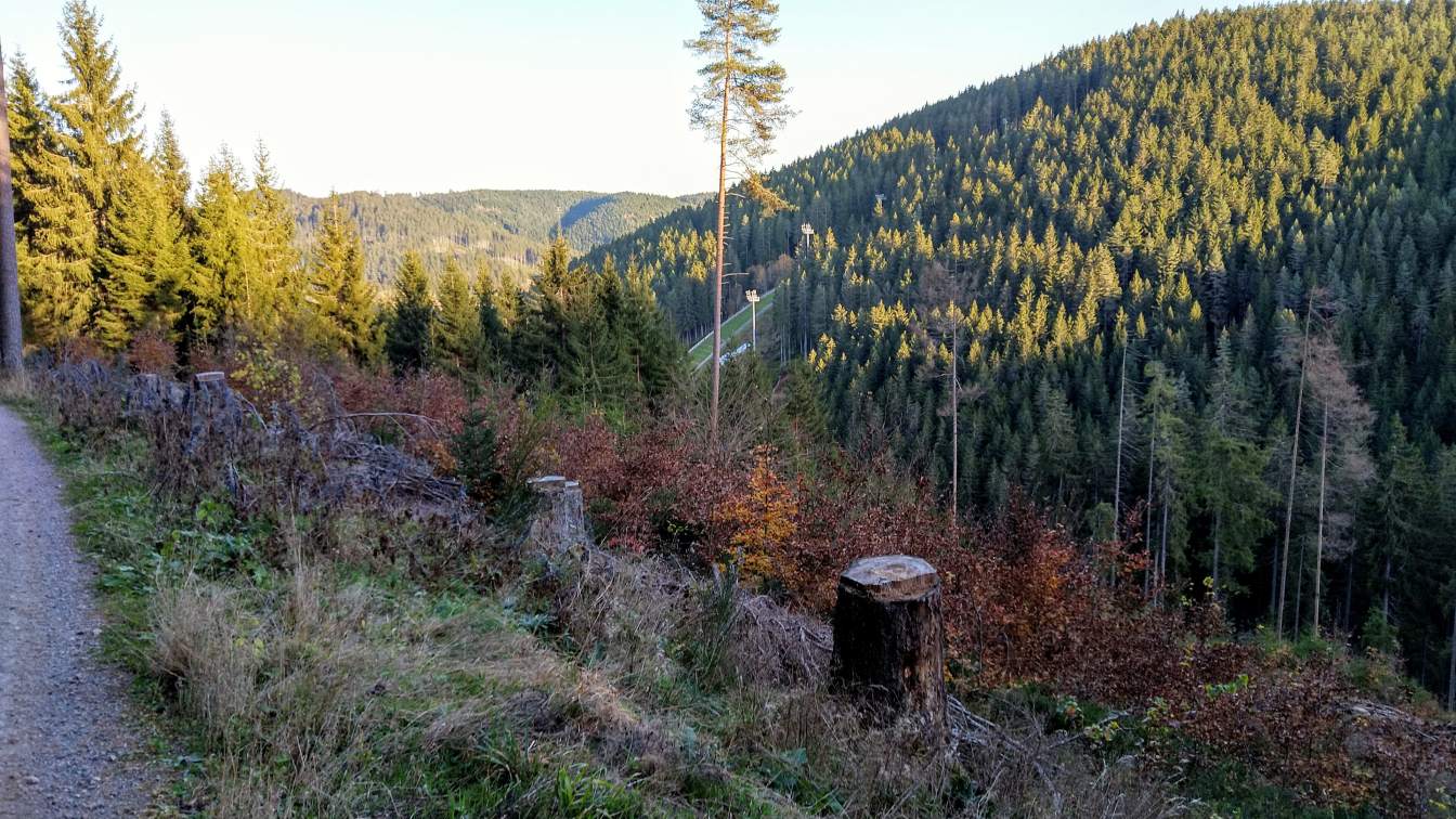 Bildtitel: Hochfirstschanze