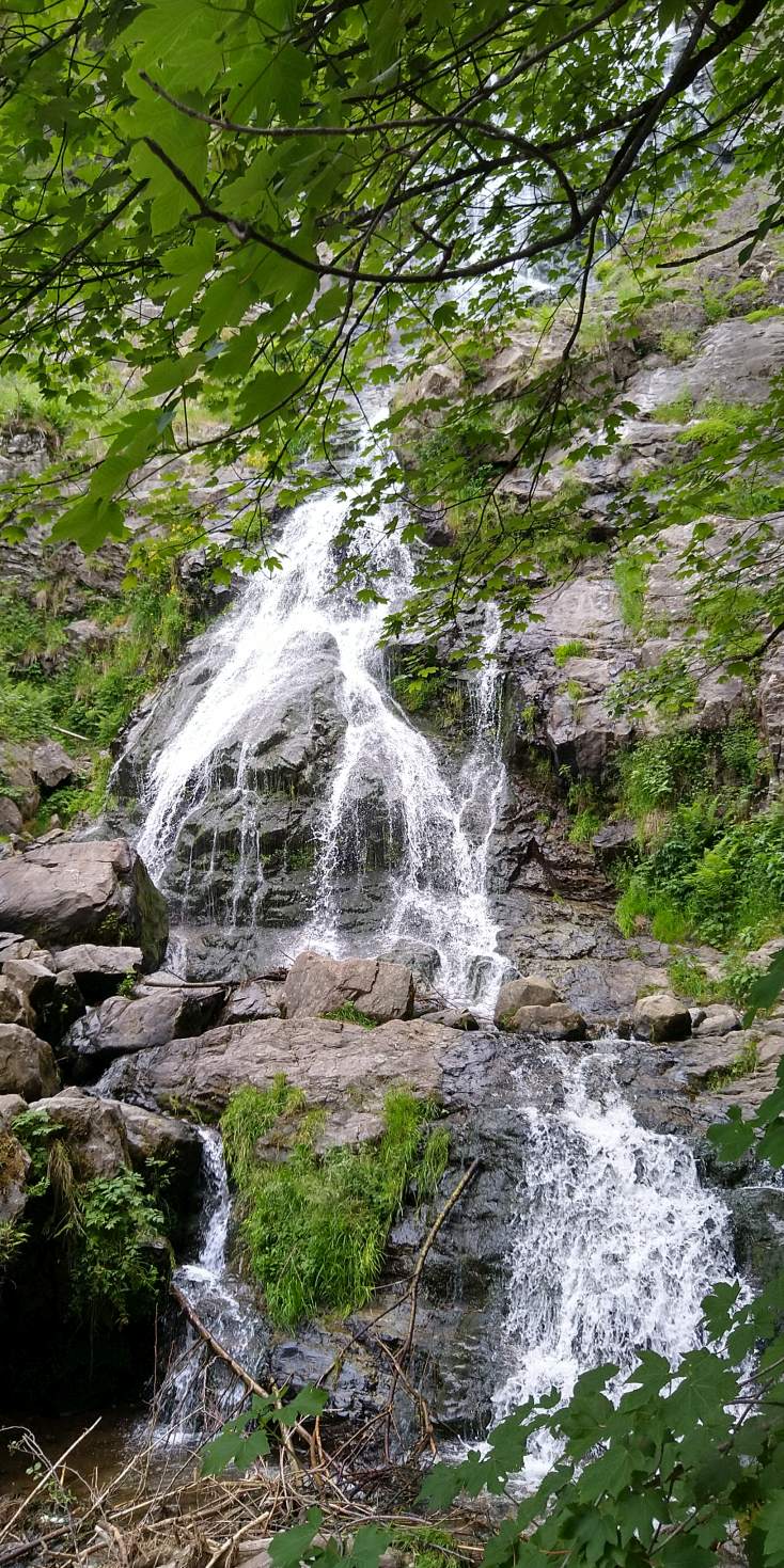 Bildtitel: Todtnauer Wasserfall (795 m)